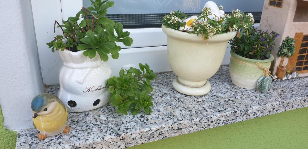 Gartenlaube 塔勒 外观 照片